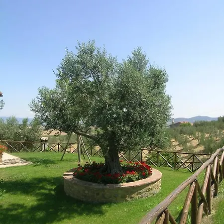 Il Pergolato * Paciano
